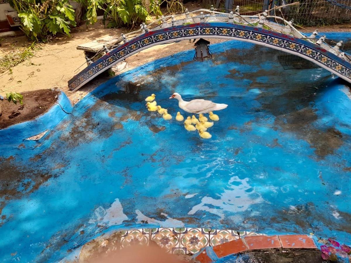 La Posada Del Sol فيلا جيزيل المظهر الخارجي الصورة