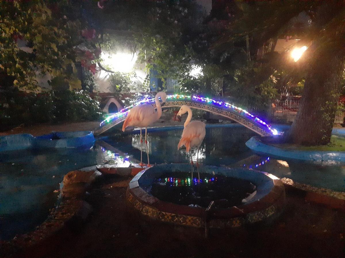 La Posada Del Sol فيلا جيزيل المظهر الخارجي الصورة